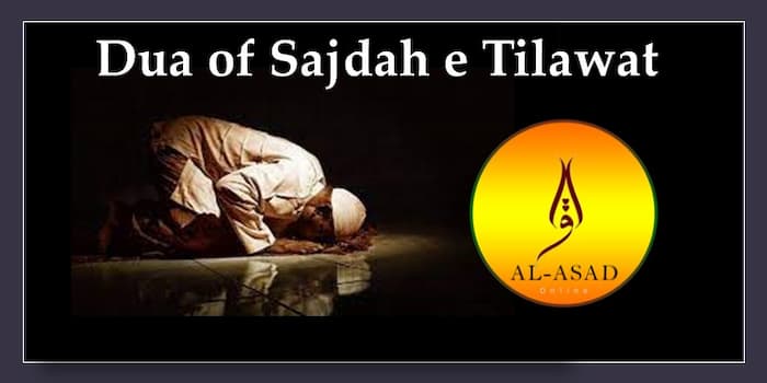 surah sajdah, sajdah, sajda, tilawat,tilawate, sajda in quran, sajdah in quran, sajdahs in quran, how many sajda in quran, how many sajdahs in quran, sajda, sujood in quran, sajda tilawat dua, how to perform sajdah tilawat, tilawat meaning, tilawat means, tilawatquran, tlawet quran, tilawate, tilawatequraan, prostration in islam,