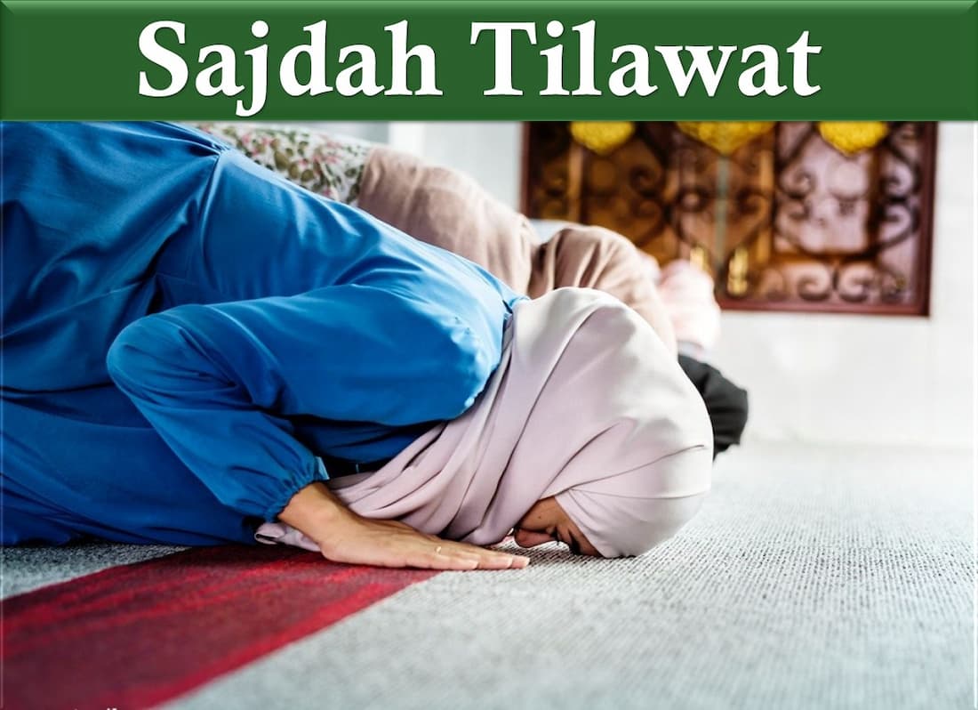 how many ruku in quran, sujood meaning, surah sajdah pdf, sajdah, prostration mark, sajdah position, surah sajdah, tilawt, tilawat equran, al sajdah, sajda in quran list, Islam symbol, prophet Muhammad, Learn Quran, almualim, Sunni Islam, Islam facts, Islam guide, Listen lyrics, prostration meaning, prostration benefits