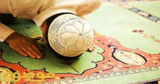 Write a detail about sajdah Tilawat in Quran? Listen lyrics, prostration meaning, prostration benefits, Fulfilment in sentence and quranmualim. Learn Quran, Quran translation, Quran mp3,quran explorer, Quran download, Quran translation in Urdu English to Arabic, almualim, quranmualim, Islam pictures, Islam symbol, Shia Islam, Sunni Islam, Islam facts],Islam beliefs and practices Islam religion history, Islam guide, prophet Muhammad quotes, prophet Muhammad biography, Prophet Muhammad family tree.