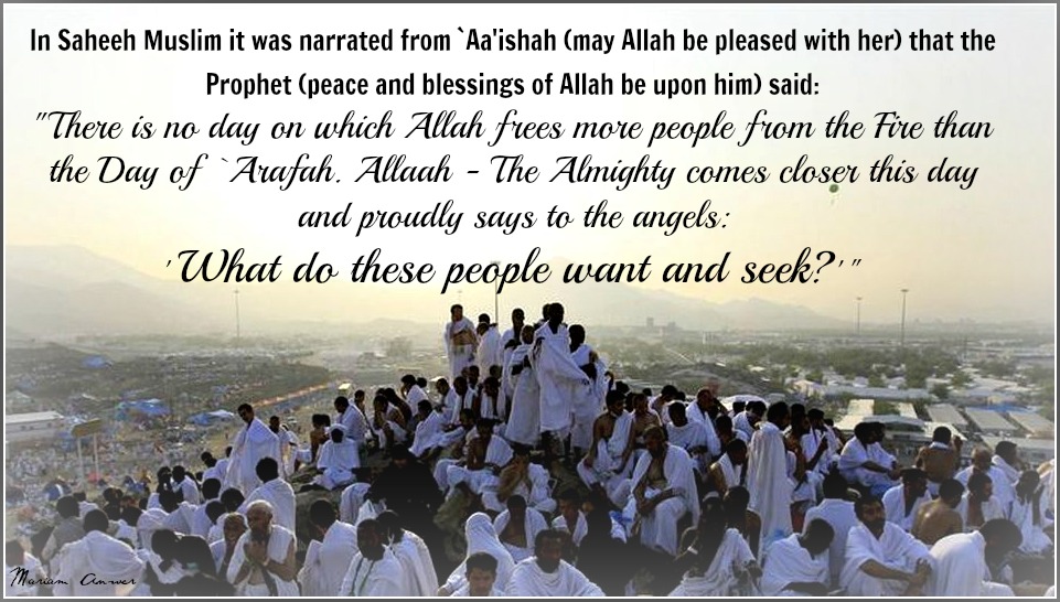 Write a detail note about The day of ‘Arafah ? mentioning sentence in English, Sahih al bukhari in urdu, reward system for kids, and quranmualim Learn Quran, Quran translation, Quran mp3,quran explorer, Quran  download, Quran translation in Urdu English to Arabic,  almualim, quranmualim, Islam pictures, Islam symbol, Shia Islam, Sunni Islam, Islam facts],Islam beliefs and practices Islam religion history, Islam guide, prophet Muhammad quotes, prophet Muhammad biography, Prophet Muhammad family tree.