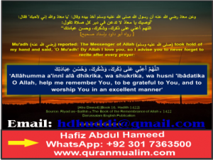 Write a note appeal for help references to hadith books? Nasā’ī, Sunan, Mājah, ); Qastallānī prophet Muhammad and quranmualim Learn Quran, Quran translation, Quran mp3,quran explorer, Quran download, Quran translation in Urdu English to Arabic, almualim, quranmualim, islam pictures, Islam symbol, Shia Islam, Sunni Islam, Islam facts],Islam beliefs and practices Islam religion history, Islam guide, prophet Muhammad quotes, prophet Muhammad biography, Prophet Muhammad family tree.