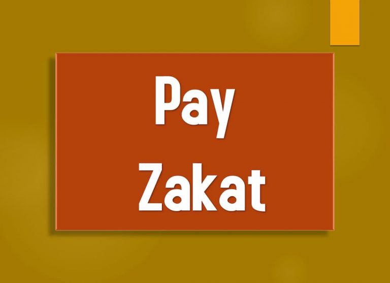 how to calcul, how to calcul, pay zakat, zakat facts, when is zakat due, wealth percentage calculator, zakat rate, what does zakat mean, zakat charity, حساب الزكاة, islamic zakat, zakat pillar of islam, define zakat