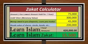 difference between zakat and sadaqah, basic rules of islam, the zakat, zakat al fitr calculator, giving zakat, jakat, zakat on money, al zakat, zakat in quran, islamic gold law, zakat on property, zakat on jewelry, how to calculate the value of a stock, basic earning power ratio formula