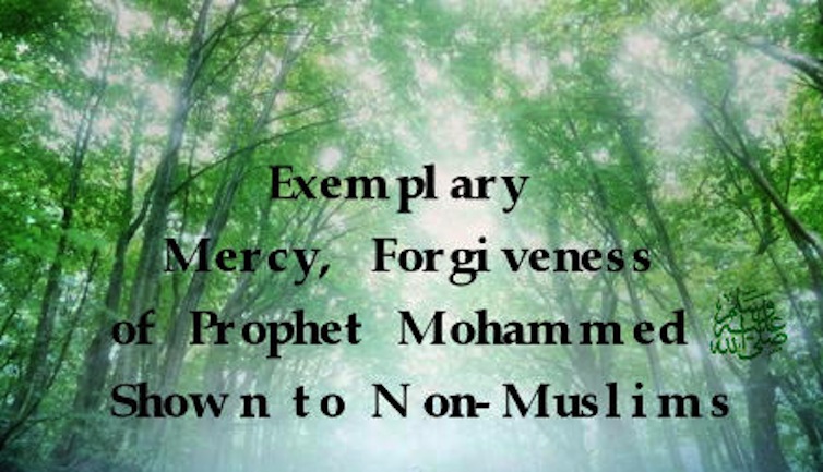 Why did Quraysh give torture to Muslims? Torture chamber, immigrated, believers religion, message of Allah in Quran, path of Allah and quranmualim Learn Quran, Quran translation, Quran mp3,quran explorer, Quran download, Quran translation in Urdu English to Arabic, Al Mualim, Quranmualim, V Islam pictures, Islam symbol, Shia Islam, Sunni Islam, Islam facts, Islam beliefs and practices Islam religion history, Islam guide, prophet Muhammad quotes, prophet Muhammad biography, Prophet Muhammad family tree.
