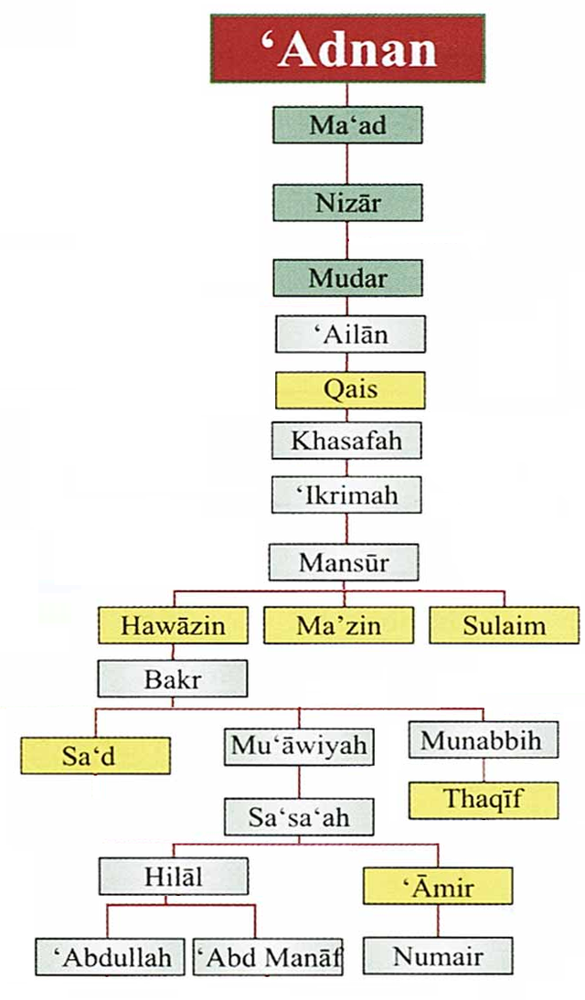 What commandants to Deputations did the prophet give ?What does jolt mean. Luggage sets, luggage target, travel bag luggage, comforts wiki and quranmualim. Learn Quran, Quran translation, Quran mp3,quran explorer, Quran download, Quran translation in Urdu English to Arabic, Al Mualim, Quranmualim, V Islam pictures, Islam symbol, Shia Islam, Sunni Islam, Islam facts, Islam beliefs and practices Islam religion history, Islam guide, prophet Muhammad quotes, prophet Muhammad biography, Prophet Muhammad family tree.