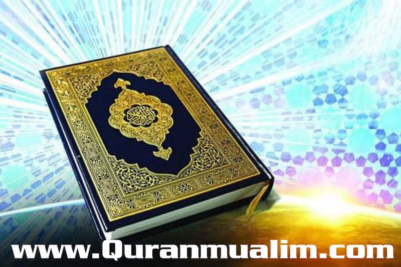 The complete holy Quran, read the Holy Quran online, learning the holy Quran, Encarta, online encyclopedia, Microsoft Encarta translation app and Quranmualim. koran, quaran, the quran, qur'an, quran encyclopedia, encyclopedia of the qur an, quranic encyclopedia, the koran on line, quran index, quranic index, quran name, the quran online, encyclopedia index, definition of koran, noble quran translation, the noble quran in english, noble qur an, encyclopedia of islam online,