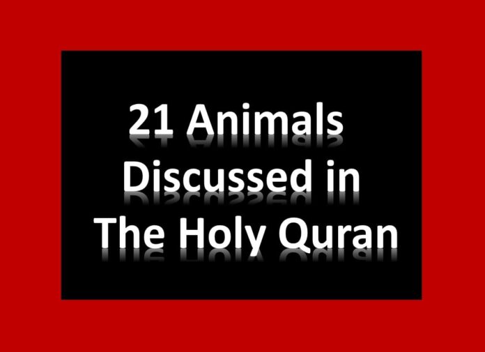 Which Animals are mentioned in the Holy Quran? Quran Mualim