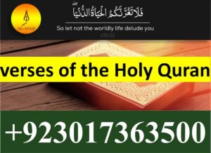 muslim caron, holy quran book, free koran, the quran book, quranpak, koran book, koran or quran, buy holy quran, al quran majeed, full quran download for reading, surat alquran, easy quran, how to read the quaran, quranfree, basic quran, best translation of the quran, quranic readings, meanings of quran