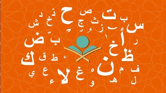 what are the Tajweed Rules of Quran? tajweed rules pdf, tajweed quran, tajweed rules, qoran tajwid, quranic tajweed, quran tajweed rules, rules of tajweed in English, quranic tajweed rules, tajweed rules of the quran, what is tajweed, tajweed meaning, heavy letters in arabic