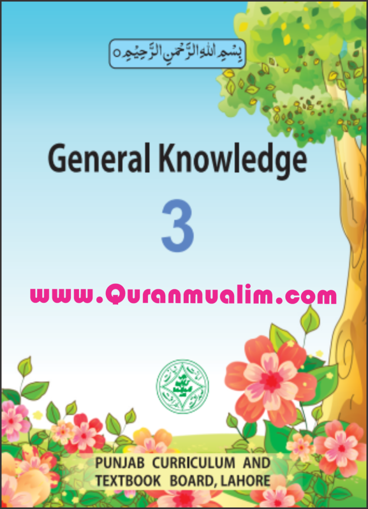 Class 3 Punjab Textbooks free PDF eBooks download, 3 grade, 3rd grade math, grade 3, maths for class 3, for 3rd class, class 3, class three books pdf, download punjab text books, Quranmualim