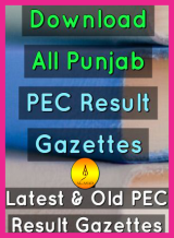 Gazettes Download PEC 8TH and 5th class, 8th class result 2019, 5th Class Gazette 2019, 5th Class Gazette Download,