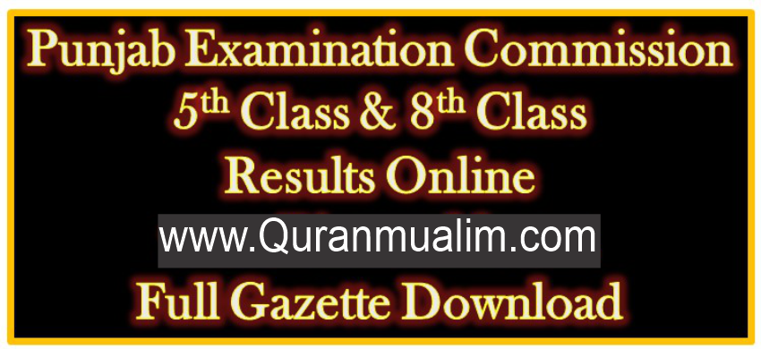 Gazettes Download PEC 8TH and 5th class 8th class result 2019, 5th Class Gazette 2019, 5th Class Gazette Download, 8th Class Gazette 2019, 8th Class Gazette Download Online, 8th Class Result, PEC Result, gazette in English, pec online, pec pdf, ghazette 2018,