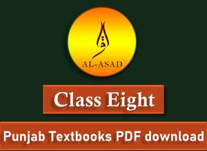 Class 8 Punjab Textbooks free PDF eBooks download, 8th class textbooks, elementary vocabulary, 8th english grammar, teachers guide math 8,, dictionary english to urdu