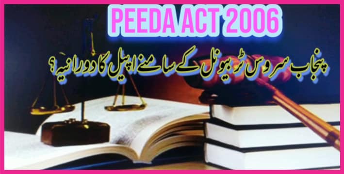 Peeda act 2006 in Urdu PDF free Download, peeda act 2006 pdf, 5 minute major, civil servant, civil service meaning, , tribunal service,