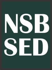 NSB Funds Primary | Elementary | High Schools , SC, action plan, procurement process, , Cash internal audit, SED & uses of FTF