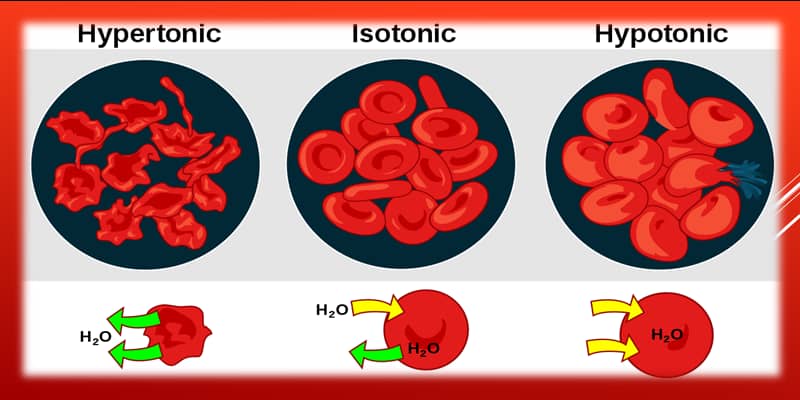 All Cambridge A level Biology Past Papers Free Download , WJEC Biology , edexcel igcse , ocr biology past papers, as a2 level , as a2 level past papers biology