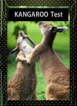 Kangaroo math competition 2021 results