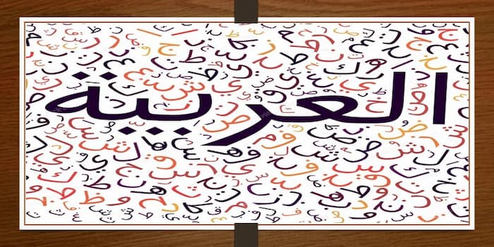 Arabic Worksheets for Grade 1 PDF Free Download, Arabic Alphabet worksheets for preschools pdf, Arabic letters for baggers
