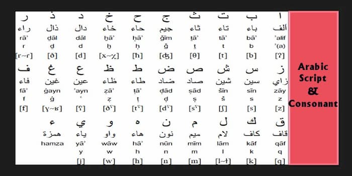 Arabic Sources | Best Arabic learning website, modern standard Arabic, digital library pdf, free, resources pdf, lesson plan pdf, ebooks pdf