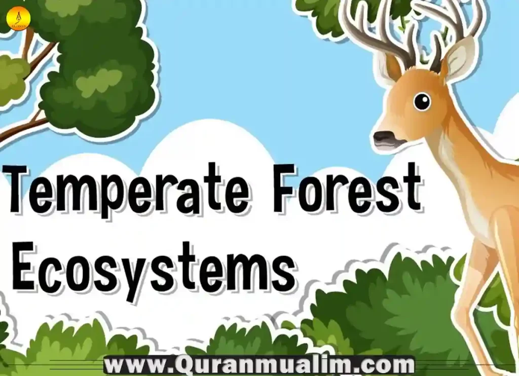 forest ecology and management journal, forest ecosystem pdf, population dynamics ecology, global temperature, climate science, pollution facts, types of environmental pollution, types of natural vegetation, forest vegetation, climax vegetation