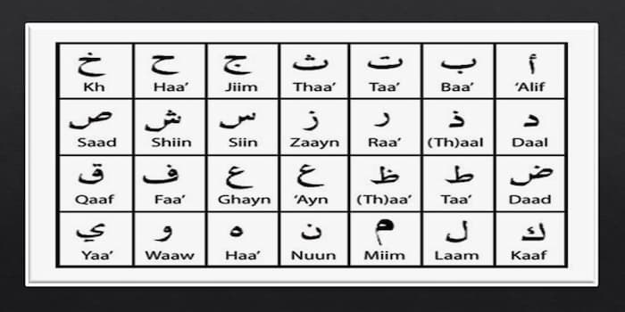 root words of quran, arabic root words, words by words quran, quranic word, word for word quran, para root words, quran word search, para root word, meanings of quran, ayat meaning, word by word quran,root word, whats a root word, what is a root word, meaning of root words, root word and suffix, prefix and root, root word examples, rootwords,