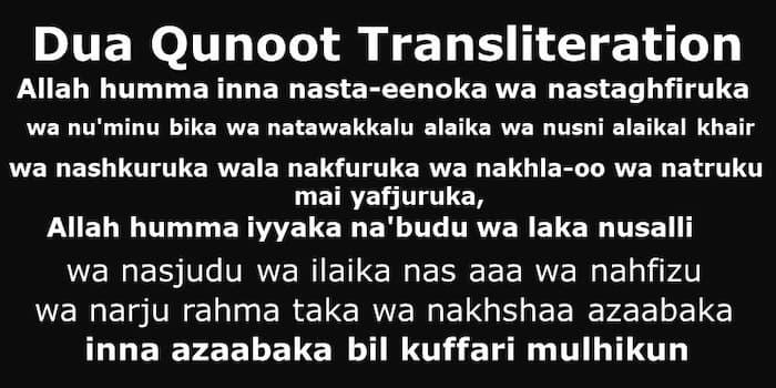 dua qunoot pdf free download dua qunoot pdf free download
