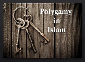 4 wives in islam, islam polygamy, sharing wife in islam, muslima 4 marriage, polygyny definition, how many wives, islamic multiple wives, how many wives can a muslim have, what is polygyny, 4 wives in islam quran