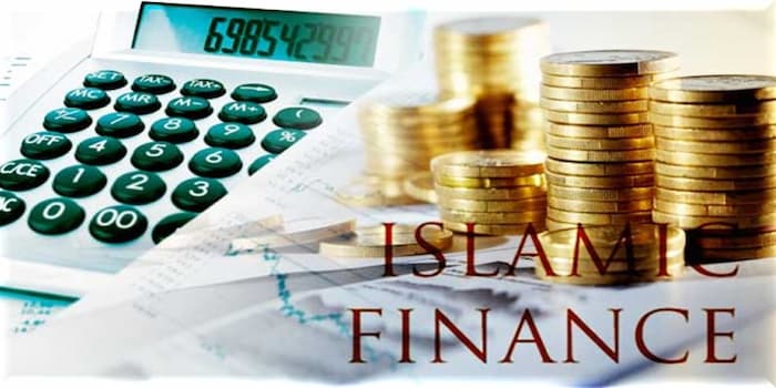 islamic government, islamic contributions, according to economists, an efficient tax is one that, muslim tax, role of economics, define needs in economics, interest in islam, riba in islam, muslims and interest, is interest haram in islam, loan in islam