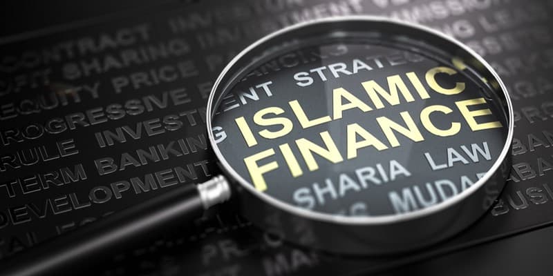 islamic government, islamic contributions, according to economists, an efficient tax is one that, muslim tax, role of economics, define needs in economics, interest in islam, riba in islam, muslims and interest, is interest haram in islam, loan in islam