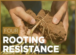 Soil Definition and Meaning Free PDF Download - Quran Mualim 2026