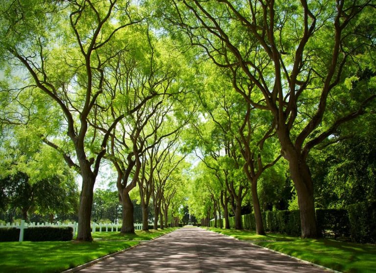 What is a Canopy? Canopy Definition and Meaning Quran Mualim