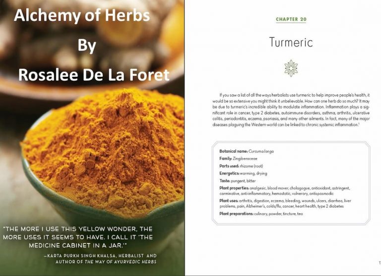 a time to heal herbs, order herbs, holy basil amazon, the alchemy, herbalist & alchemist, alchemy apothecary, herbs with rosalee, herbal heart apothecary, rosalie apothecary, alchemist apothecary, heart of herbs, herbalist and alchemist