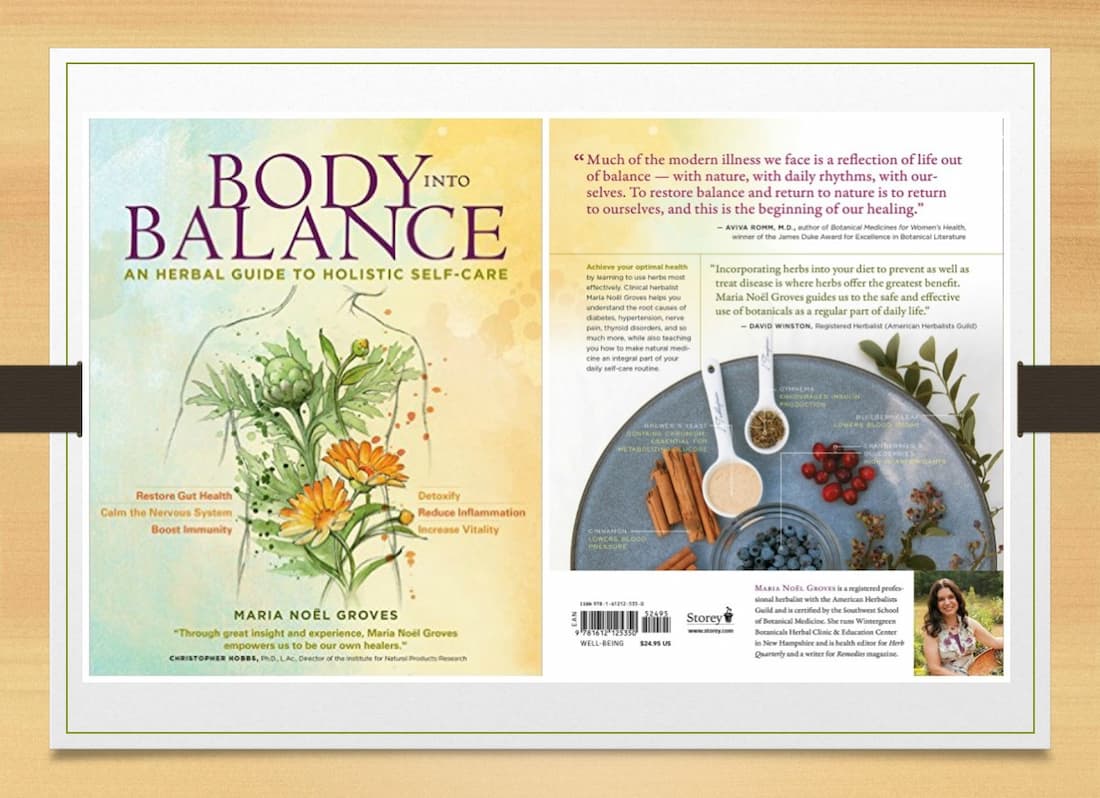 Body into Balance: An Herbal Guide to Holistic Self-Care, herbal guides, body into balance, body by maria, holistic balance, m noel book