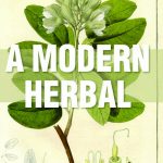 a modern herbal grieve, a modern herbal volume 1 and 2, the modern herbalist, maude grieve, a modern herbal grieve, botanical, herbal on line, mr herbs, botanicals online, botanical.com, a modern herbal pdf