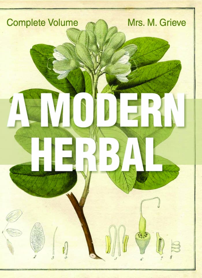 a modern herbal grieve, a modern herbal volume 1 and 2, the modern herbalist, maude grieve, a modern herbal grieve, botanical, herbal on line, mr herbs, botanicals online, botanical.com, a modern herbal pdf