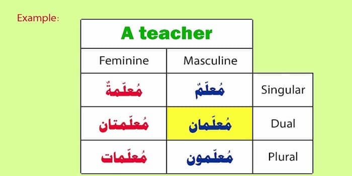 basic grammar rules cheat sheet, beneficial verb, basic arabic grammar, harakah definition, arabic verbs pdf, list of arabic roots, arabic relative pronouns, parts of speech cheat sheet pdf, another word for after