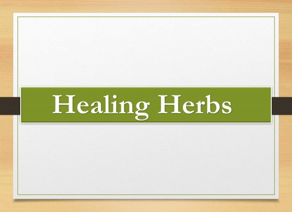 herbal for life, herbal mixes, heals all herb, strong sedative herbs, good health herbs, best herbs for women, natural herbs that get you high, spiritual herbs, herbs that get you high, herbal preparation, magic healing herbs, herbal picture, soothing herbs, herbs for good health, nature's medicine, holistic herbal solutions