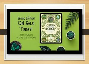 why are witches green, green witchery, the spellbook, witchkraft, withcraft, salt and sanctuary magic guide, green witchcraft, salt and sanctuary beginners guide, ways to spell paige, eye of newt plant, magic guilde, plants associated with witches, magic guide