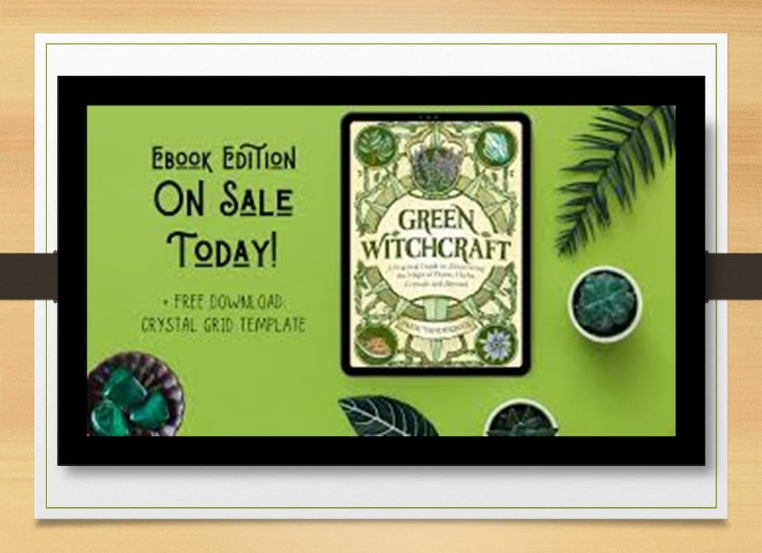 why are witches green, green witchery, the spellbook, witchkraft, withcraft, salt and sanctuary magic guide, green witchcraft, salt and sanctuary beginners guide, ways to spell paige, eye of newt plant, magic guilde, plants associated with witches, magic guide