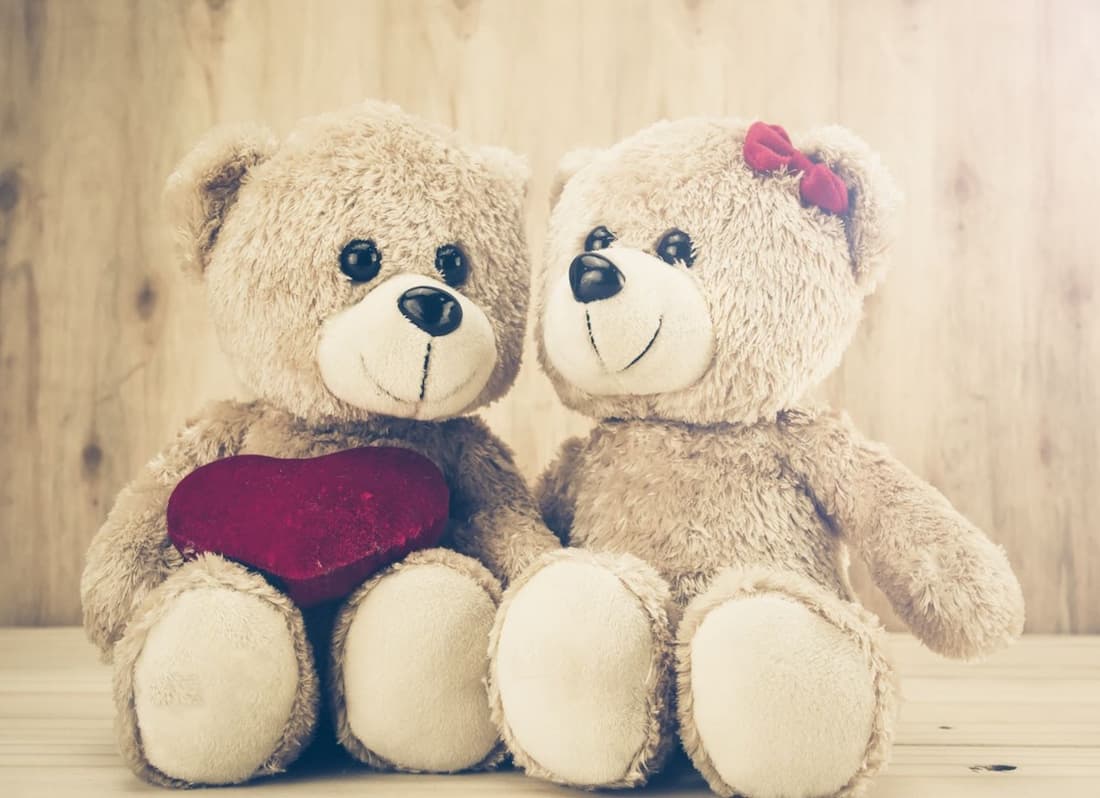 teddy bear names, teddy bears origin, cute bear names, a tedy bear, tedebear, teddy bears history, why is it called a teddy bear, teddy bear meaning, teddybear background, teddy bear name, teddy bears story,