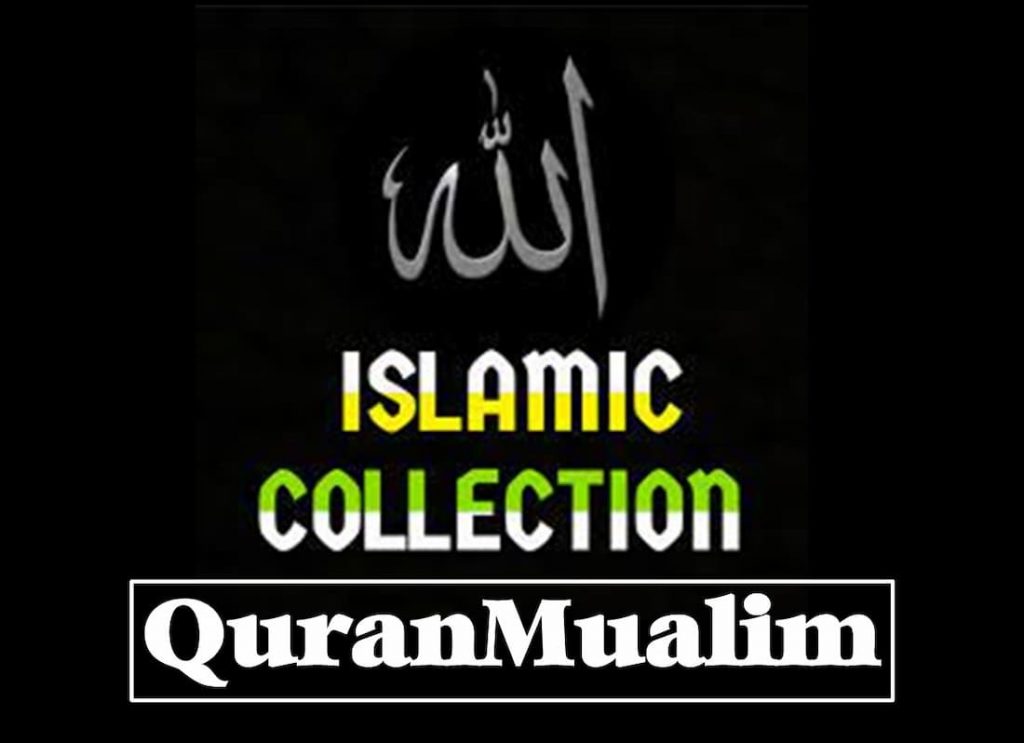 grade 4, quran surah, surah of quran, surah quran, all surah of quran, quran surah list, what is a surah in the quran, how many surah in the quran, quran, koran, surah baqarah quaran, noble definition