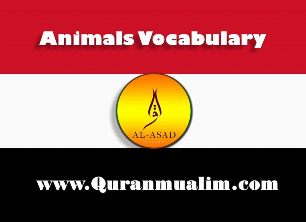 arabic words for animals, animals name in arabic, arabic animals, animals in arabic, animals that start with y, animals that start with r, animals that start with t, animals that start with b, animals starting with m, arabic bird names, names of birds in arabic, headshok animal