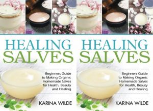 fallout 76 healing salve, don't starve healing salve,healing salve recipe, healing salve dont starve, salve, witch doctor, salve definition, salves, healing salve, joshua tree healing salve, wound salve, healing salves