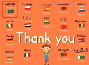 shokran meaning, arabic for thank you, how are you in arabic, you too in arabic, say in arabic, shukran pronunciation, who are you in arabic, you in arabic, best in arabic, and you in arabic, say arabic, ya allah meaning, arabic for no, tak thank you, here in arabic