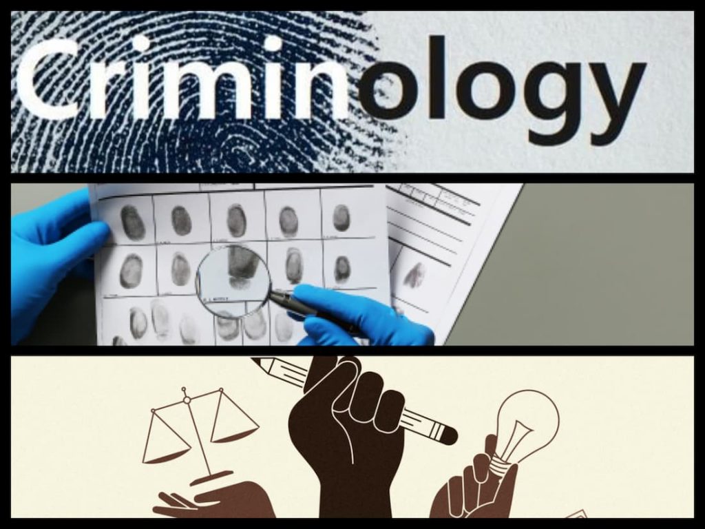 criminology the essentials 3rd edition pdf,key ideas in criminology and criminal justice,books written by criminals, criminology the core 4th ed, fundamentals of research in criminology and criminal justice 5th edition pdf, classics of criminology 4th edition,