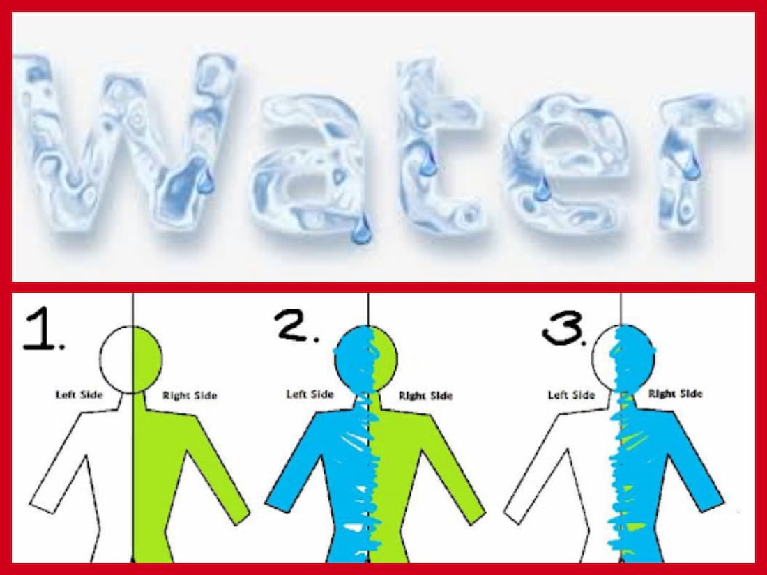 Ghusl How to Perform Ghusl? PDF Download Quran Mualim