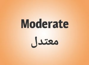 whats moderate, moderate adjective, what is moderately, moderate views definition, what does moderately mean, moderate means, to moderate, other words for middle, medium size synonym, medium-size synonym, outrageous meaning in telugu, small medium large synonyms, moderating effect meaning, moderate synonym, moderated by, moderacy, moderate examples