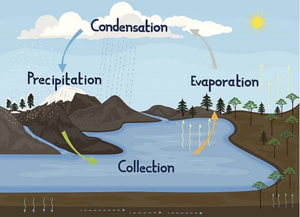 , water cycle kids, water cycle diagram with explanation, water cycle evaporation, runoff water cycle, explain water cycle, how does a water cycle work, life cycle of water, information about the water cycle