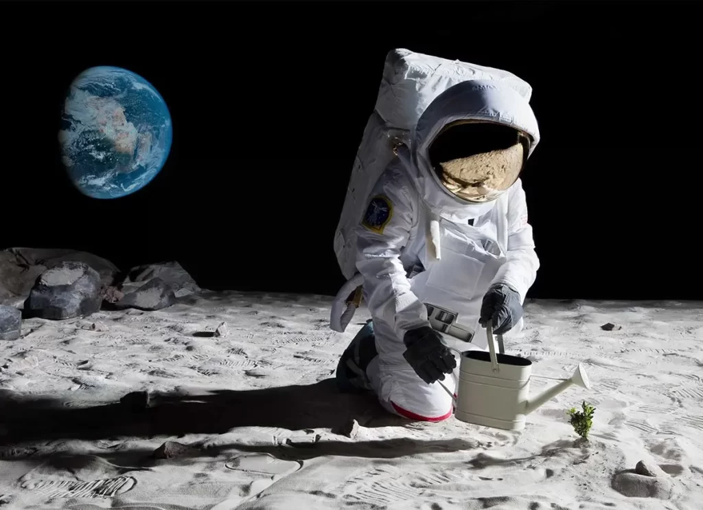 astronauts food, growing food in space, astronaut food in space, what food do astronauts eat in space, mission food, fooding definition, astronaut in space, what do astronauts eat, astronaut food, eating in space, what does astronauts eat in space, space foods, real space food