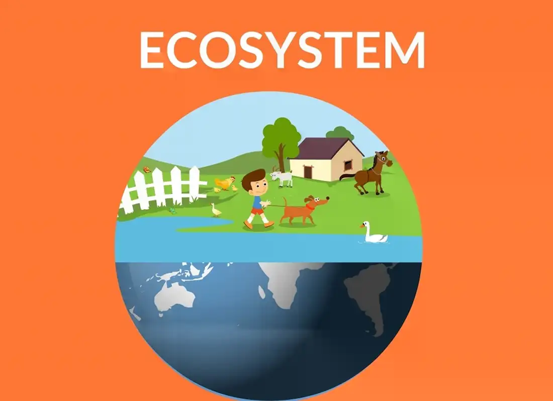 community ecosystem, atmospheric synonym, facts about ecosystems, components of ecosystem, define inseparable, biotic and abiotic definition, ecology from individuals to ecosystems, consumer definition biology, biotic meaning, ecological environment, possible definition